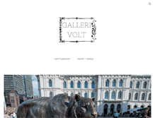 Tablet Screenshot of gallerivolt.no
